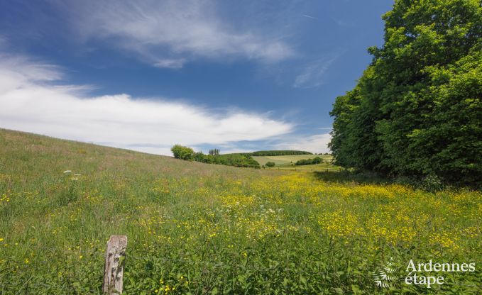Luxusvilla Houffalize 18 Pers. Ardennen Schwimmbad Wellness