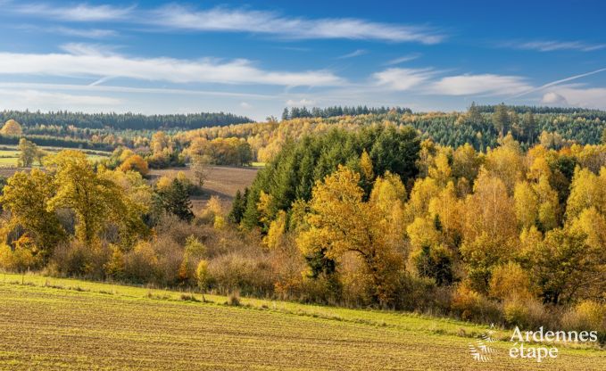 Luxusvilla in Houffalize: Unterkunft f�r 18 Personen mit Pool, Sauna und privatem Garten in den Ardennen
