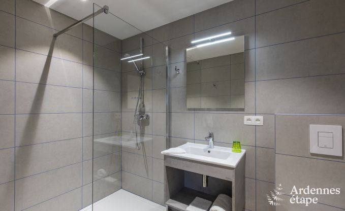 Luxusvilla Houffalize 18 Pers. Ardennen Schwimmbad Wellness Behinderten gerecht