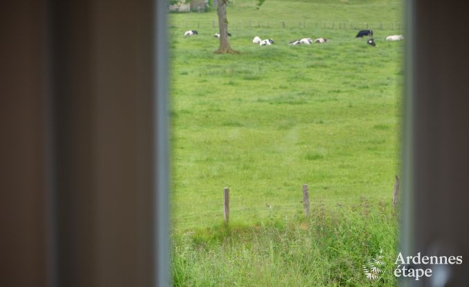 Tiny House am Naturschutzgebiet Canal de Bernistap in Houffalize, Ardennen