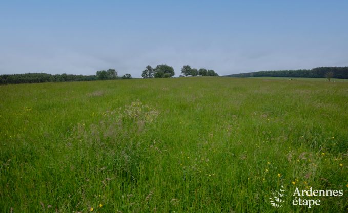 Tiny House am Naturschutzgebiet Canal de Bernistap in Houffalize, Ardennen