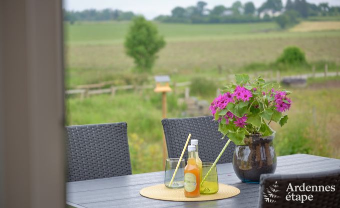 Tiny House am Naturschutzgebiet Canal de Bernistap in Houffalize, Ardennen