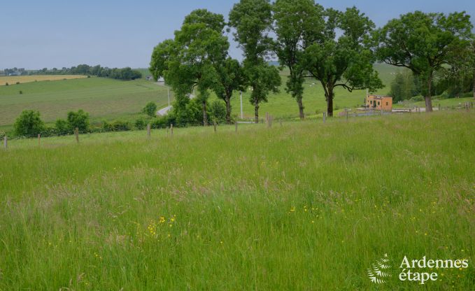 Tiny House am Naturschutzgebiet Canal de Bernistap in Houffalize, Ardennen