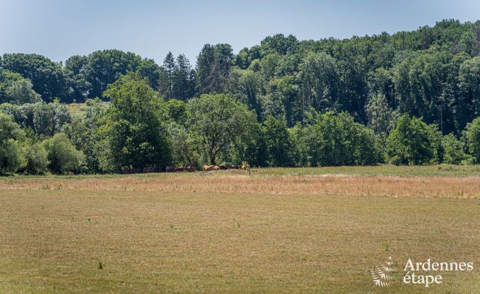 Gerumiges Ferienhaus in Houyet fr 12 Personen mit 5 Schlafzimmern, groem Spielbereich und privater Terrasse