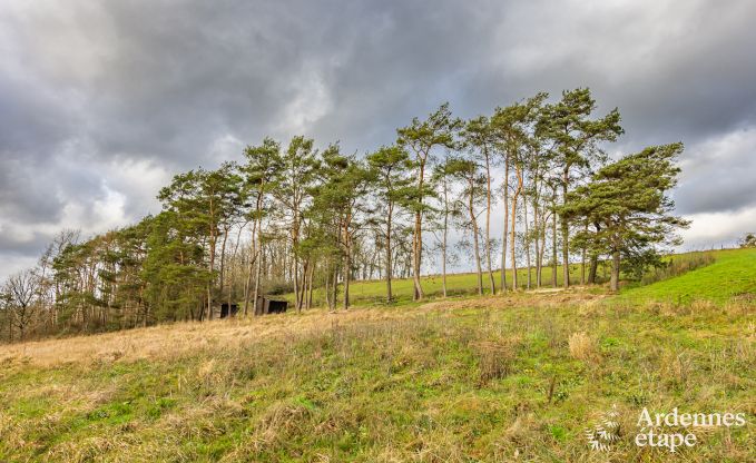 Abgelegenes Ferienhaus mit Pool in Houyet, Ardennen