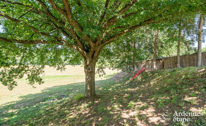 Gerumiges Ferienhaus in Houyet fr 12 Personen mit 5 Schlafzimmern, groem Spielbereich und privater Terrasse