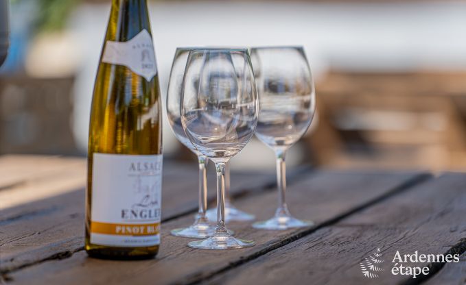 Ferienhaus f�r 9 Personen in Wanlin mit 4 Schlafzimmern und eingez�untem Garten