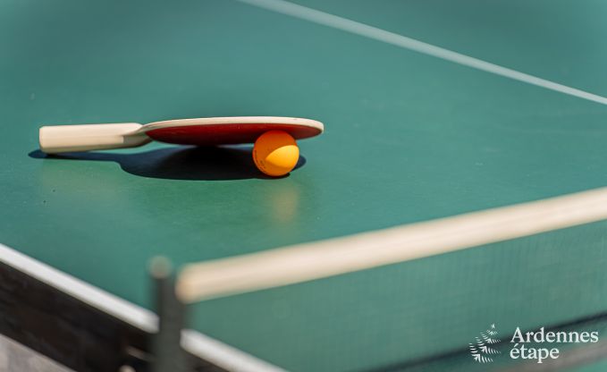 Ferienhaus f�r 9 Personen in Wanlin mit 4 Schlafzimmern und eingez�untem Garten