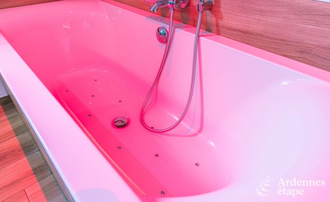 au�ergew�hnliche Ferienwohnung Houyet 10/14 Pers. Ardennen