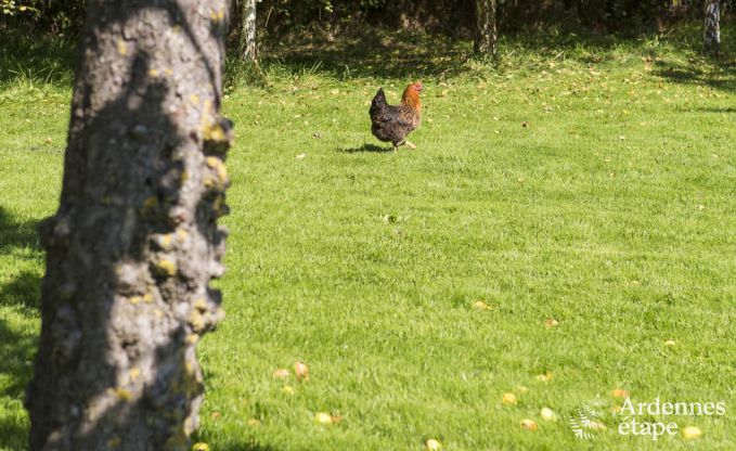 Ferienhaus Jalhay 6 Pers. Ardennen