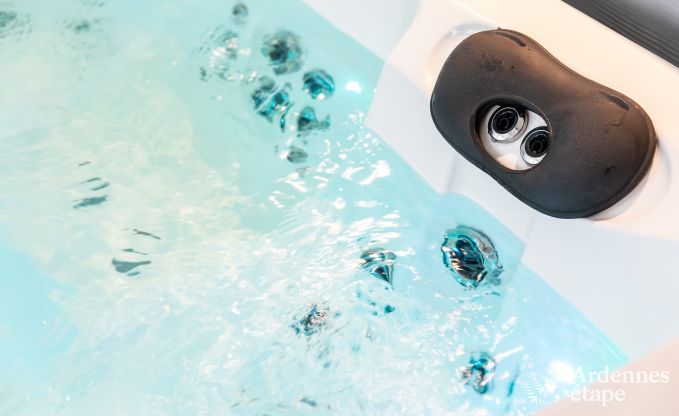 Luxusferienhaus in Jalhay fr 12 Personen mit Whirlpool, Spielzimmer und privatem Garten