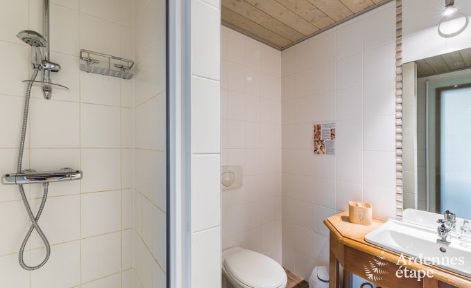 Luxusferienhaus in Jalhay fr 12 Personen mit Whirlpool, Spielzimmer und privatem Garten