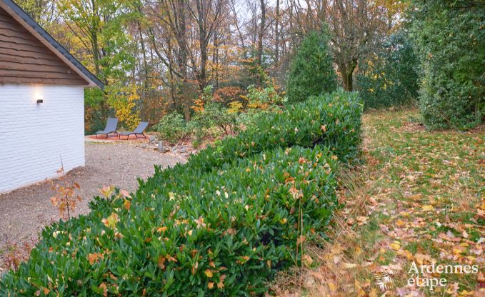 Ferienhaus Jalhay 8 Pers. Ardennen Schwimmbad Wellness
