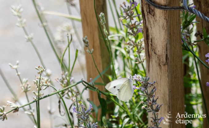 Luxusvilla Jalhay 12/14 Pers. Ardennen Wellness