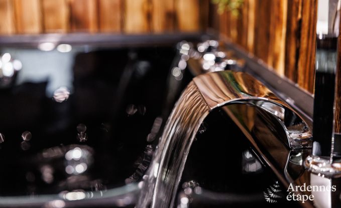 Luxusvilla Jalhay 12/14 Pers. Ardennen Wellness