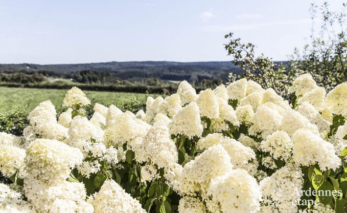 Luxusvilla Jalhay 14/15 Pers. Ardennen Schwimmbad Wellness