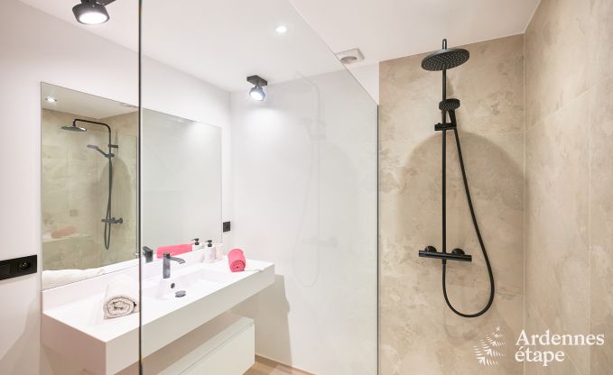 Ferienhaus Jalhay 9 Pers. Ardennen Wellness