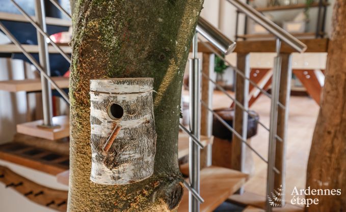 Luxusvilla Jalhay 12/14 Pers. Ardennen Wellness