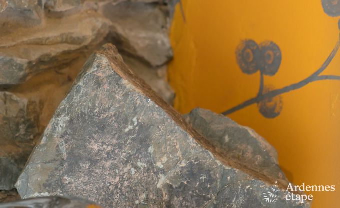 Ferienhaus in J�honville f�r 6 Personen in den Ardennen