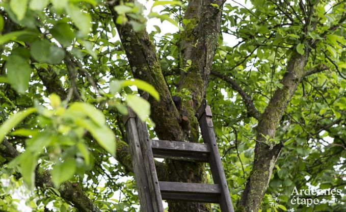 Ferienhaus La Roche-En-Ardenne 4 Pers. Ardennen