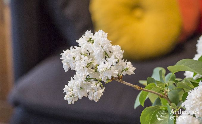 Ferienhaus La Roche-En-Ardenne 4 Pers. Ardennen