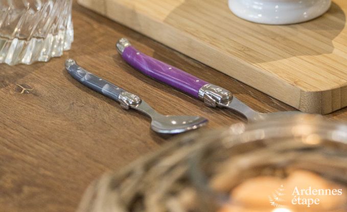 Ferienhaus La Roche-En-Ardenne 4 Pers. Ardennen