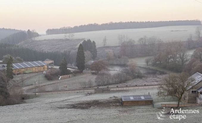Ferienhaus La Roche-En-Ardenne 9 Pers. Ardennen Wellness