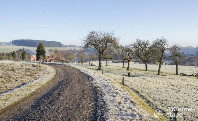 Ferienhaus La Roche-En-Ardenne 9 Pers. Ardennen Wellness