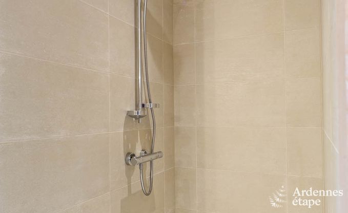 Ferienhaus La Roche-En-Ardenne 9 Pers. Ardennen Wellness