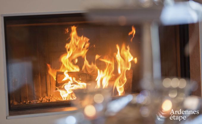 Ferienhaus La Roche-En-Ardenne 9 Pers. Ardennen Wellness