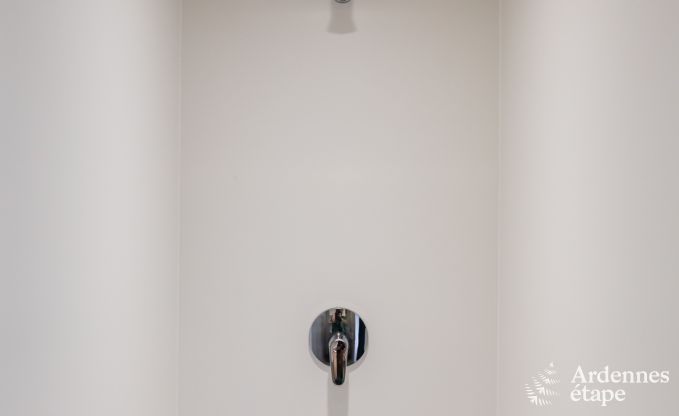 Ferienhaus La Roche-En-Ardenne 15 Pers. Ardennen Wellness