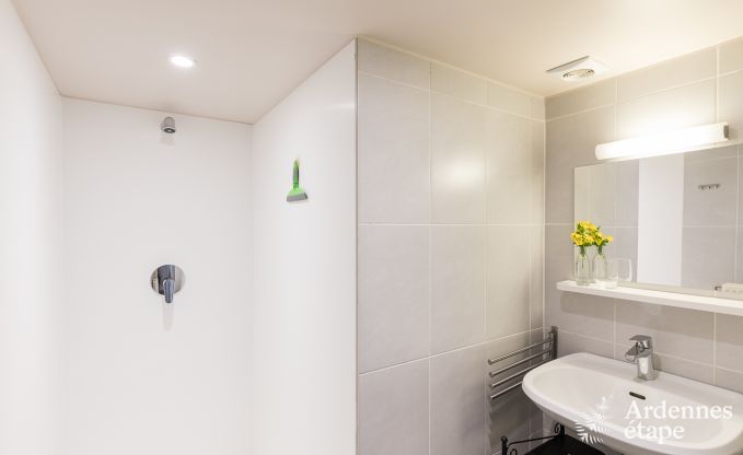 Ferienhaus La Roche-En-Ardenne 15 Pers. Ardennen Wellness