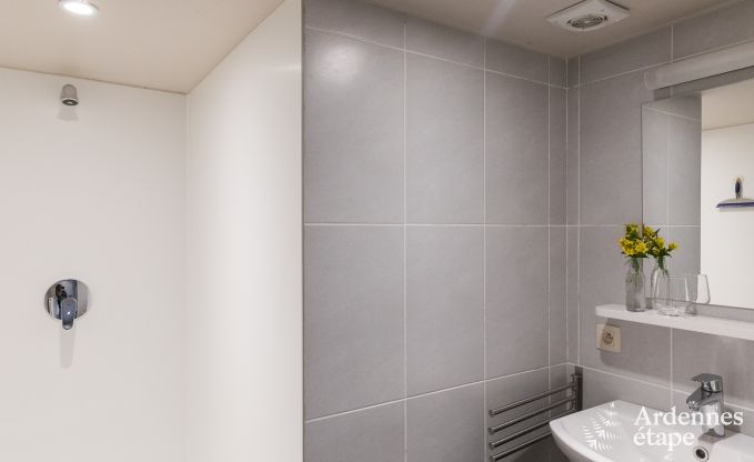 Ferienhaus La Roche-En-Ardenne 15 Pers. Ardennen Wellness