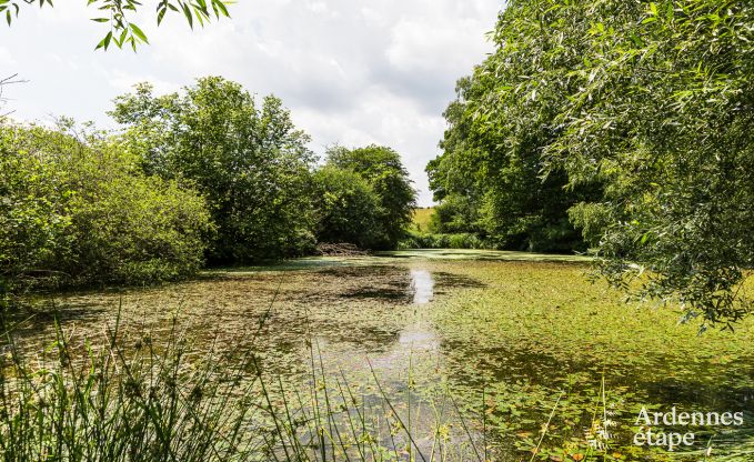 Ferienhaus La Roche-En-Ardenne 15 Pers. Ardennen Wellness