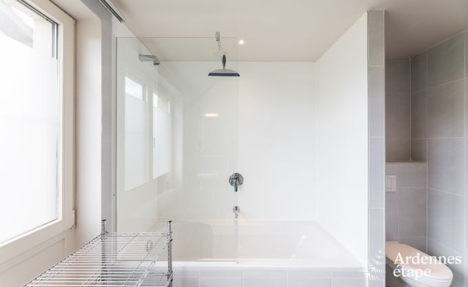 Ferienhaus La Roche-En-Ardenne 15 Pers. Ardennen Wellness