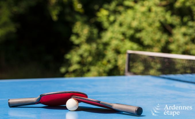 Ferienhaus La Roche-En-Ardenne 15 Pers. Ardennen Wellness