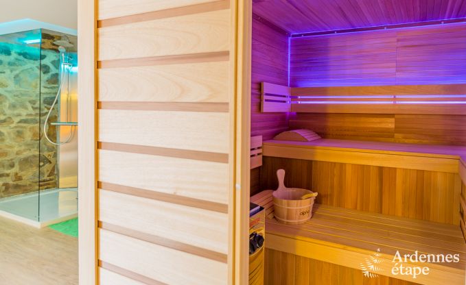 Luxusvilla La Roche-En-Ardenne 9 Pers. Ardennen Wellness