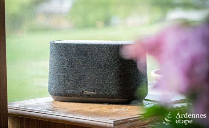 Hundefreundliches Chalet in La Roche-en-Ardenne, ideal fr Familien