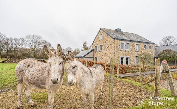 Cottage La Roche-En-Ardenne 9 Pers. Ardennen Wellness