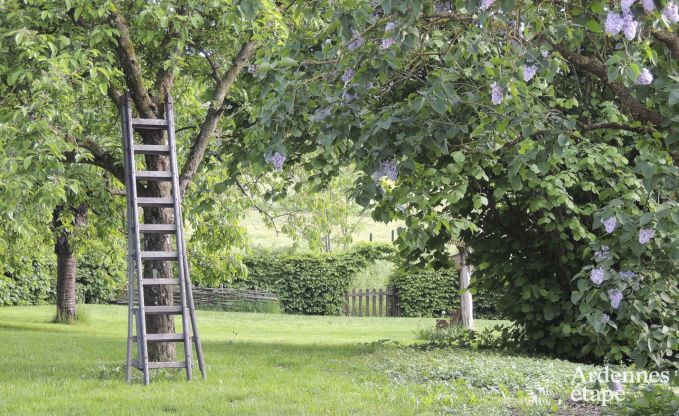 Ferienhaus La Roche-En-Ardenne 4 Pers. Ardennen