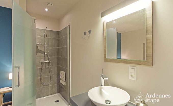 Ferienhaus La Roche-En-Ardenne 9 Pers. Ardennen Wellness