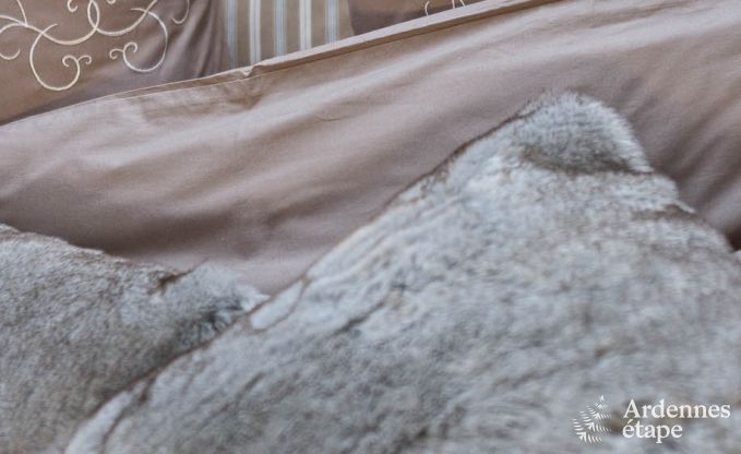 Ferienhaus La Roche-En-Ardenne 9 Pers. Ardennen Wellness