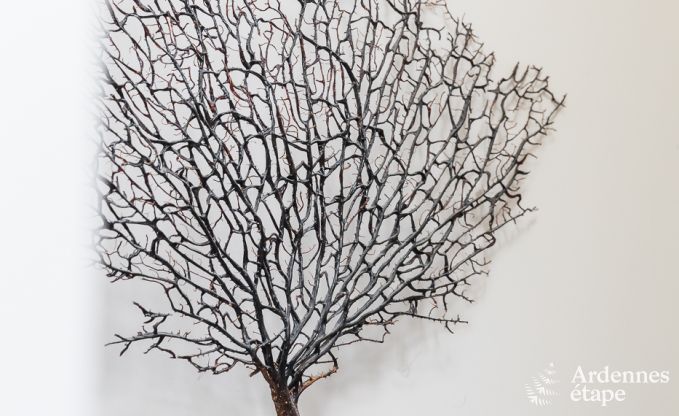 Ferienhaus La Roche-En-Ardenne 15 Pers. Ardennen Wellness