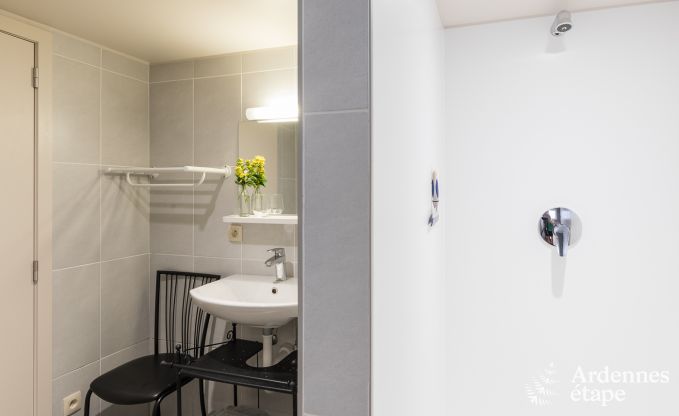 Ferienhaus La Roche-En-Ardenne 15 Pers. Ardennen Wellness