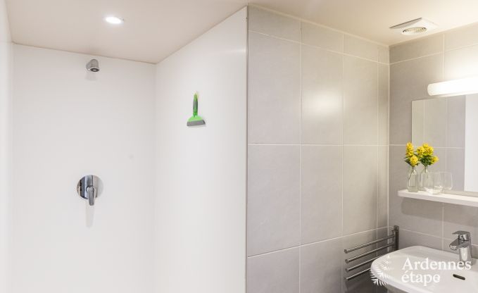 Ferienhaus La Roche-En-Ardenne 15 Pers. Ardennen Wellness