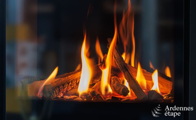 Ferienhaus La Roche-En-Ardenne 6/8 Pers. Ardennen Schwimmbad Wellness