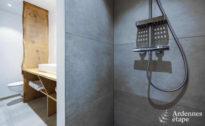 Ferienhaus La Roche-En-Ardenne 6/8 Pers. Ardennen Schwimmbad Wellness