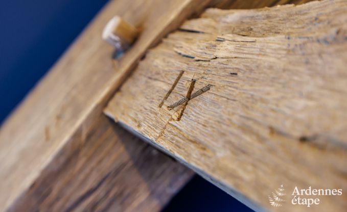 Ferienhaus La Roche-En-Ardenne 6/8 Pers. Ardennen Schwimmbad Wellness