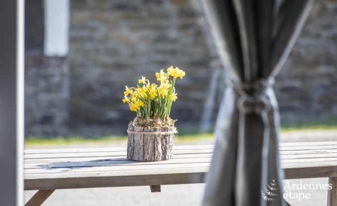 Ferienhaus La Roche-en-Ardenne 4/6 Pers. Ardennen