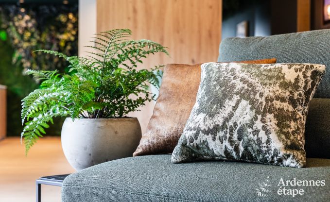 Ferienhaus La Roche-en-Ardenne 2 Pers. Ardennen Wellness